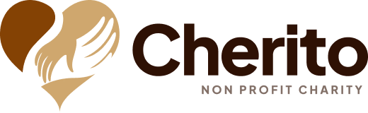 snehatheeramkidangara.org
